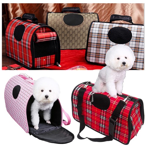 Pet dog cat - dog,