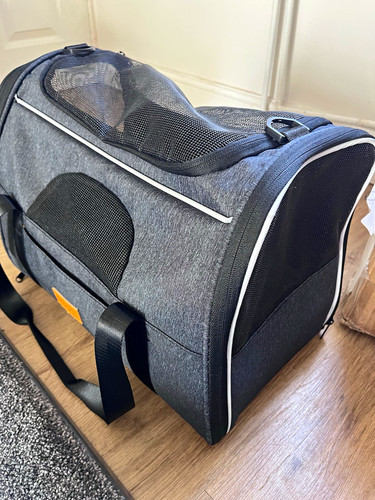 Grey black soft - grey/black, dog