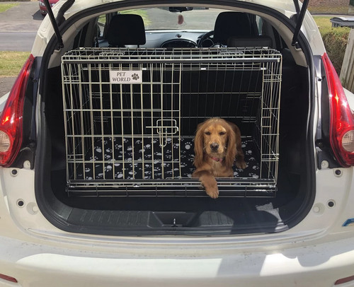 Dog car cage - car, juke