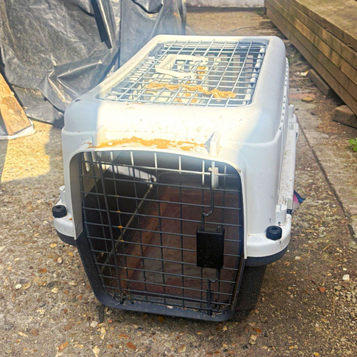 Hard sided plastic pet - hard-sided, travel