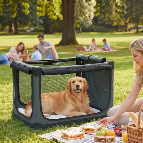 Collapsible dog crate - dog,