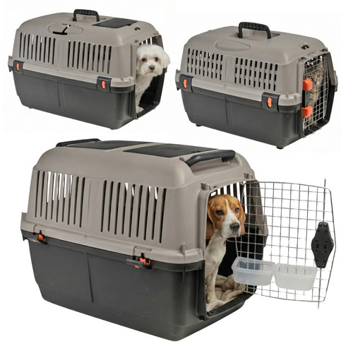 Iata approved dog - iata,