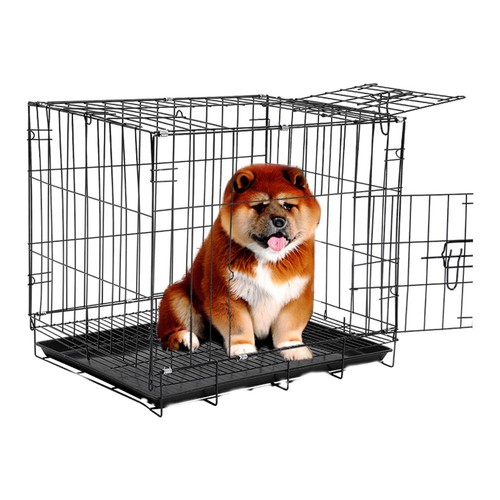 Dog cage with - dog,