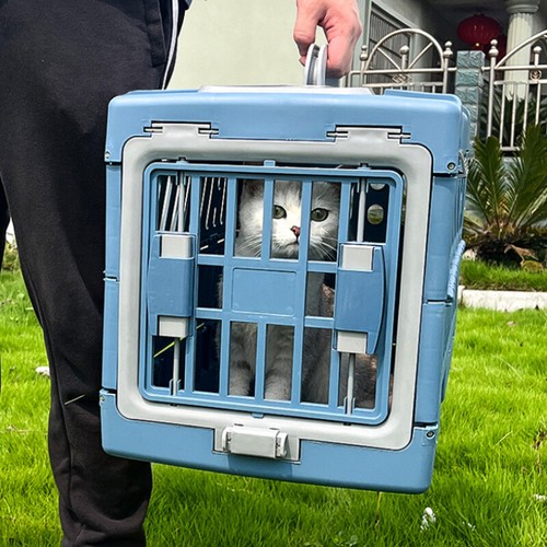 Pet portable cat - pet,