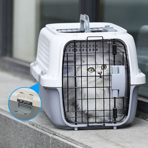 Xlarge dog cat carrier box - cat,