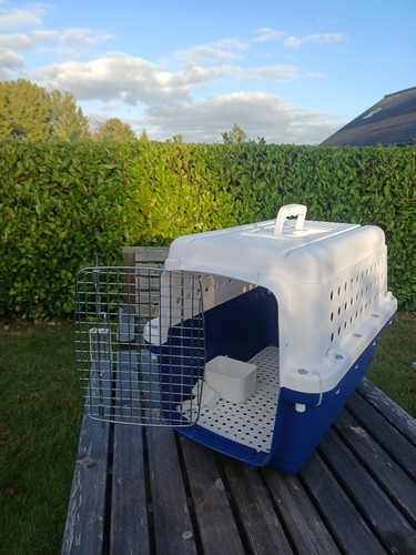 Pet travel crate iata - travel,