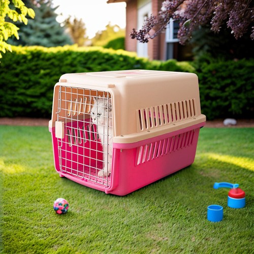 Pink large dog - pink, cat