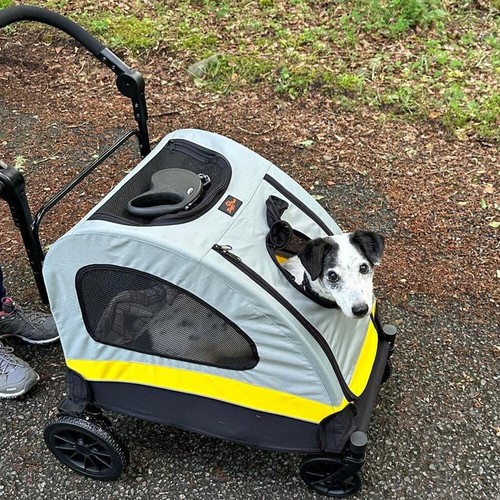 Portable dog stroller - portable,