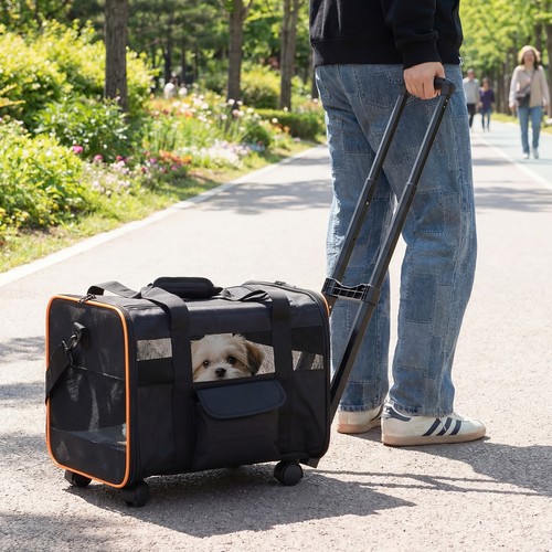 Foldable soft sided dog travel - foldable,
