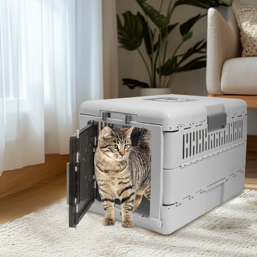 Premium collapsible design - premium,