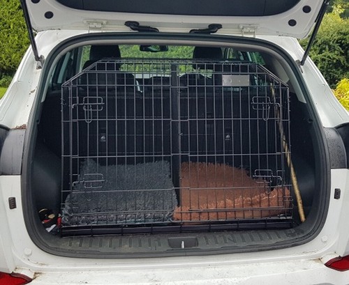 Pet world slopping car puppy - slopping,