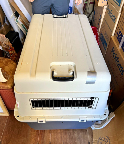 Hard sided plastic dog - hard-sided,