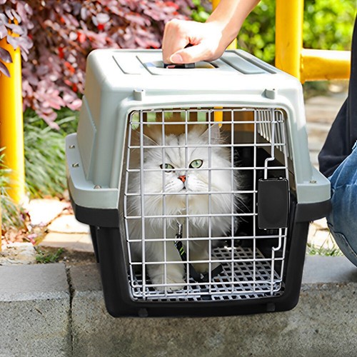 Portable dog cat carrier box - cat,