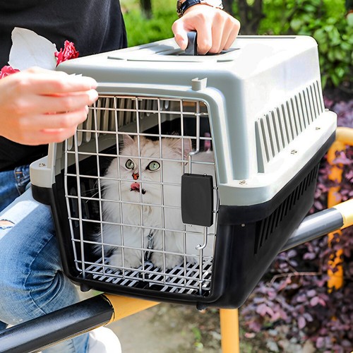 Extra large portable dog - large, cat