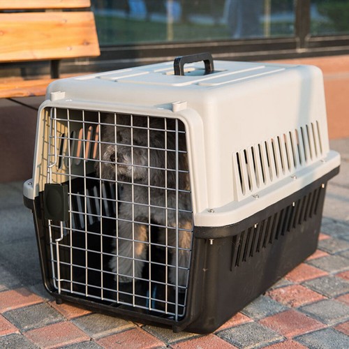 Large dog cat carrier - /, box