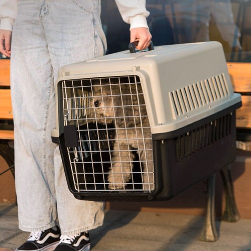 Portable dog cat carrier box - portable,